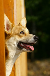 Similar image 316062