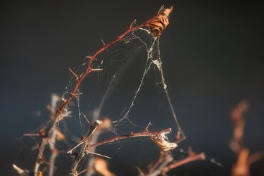 Similar image 316124