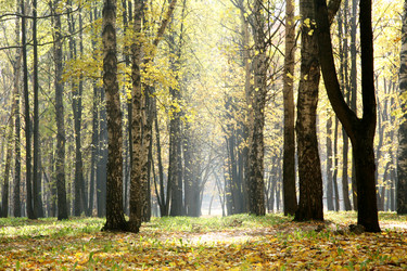 Similar image 316142