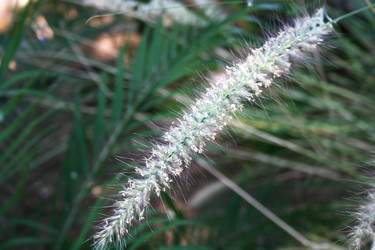 Similar image 316159