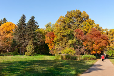 Similar image 316203