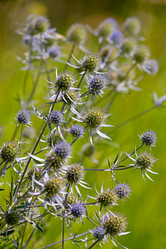 Similar image 316204