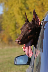 Similar image 316248