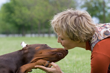 Similar image 316261