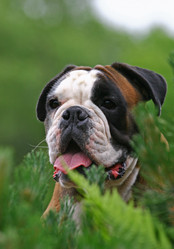 Similar image 316265