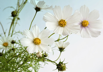 Similar image 316338