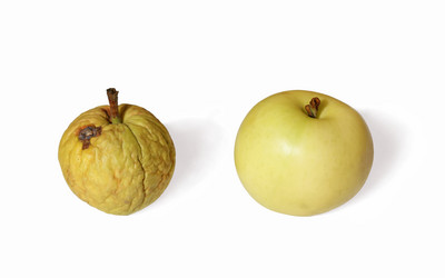 Similar image 316356