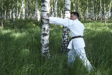 Similar image 316372