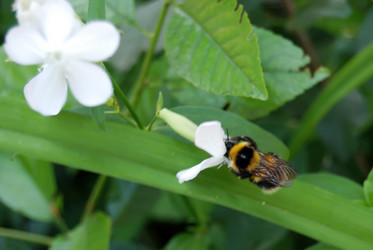 Similar image 316376