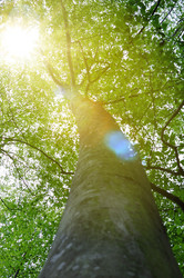 Similar image 316385