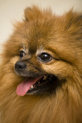 Similar image 316423