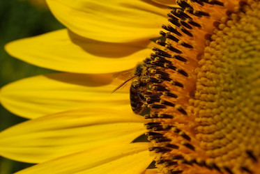 Similar image 316432