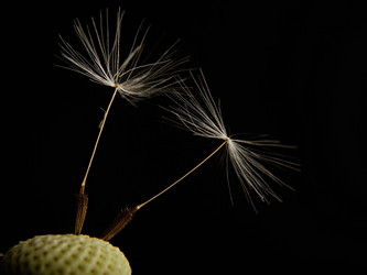 Similar image 316435