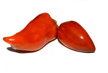 Similar image 316444