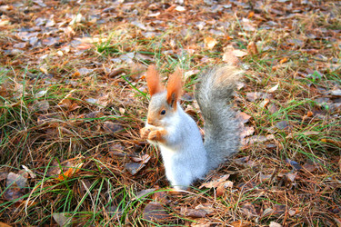 Similar image 316449