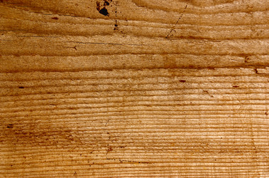 Similar image 316520