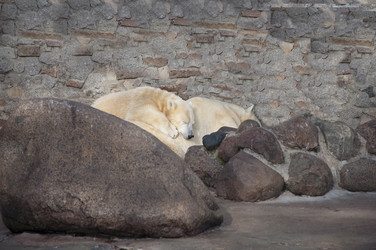 Similar image 316533