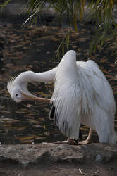 Similar image 316539