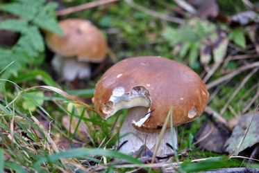 Similar image 316546