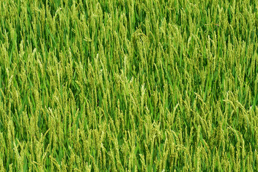 Similar image 316585