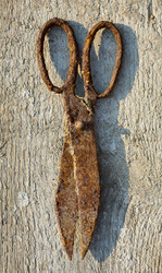 Similar image 316590