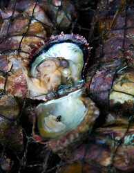 Similar image 316606