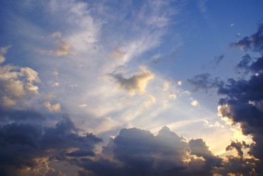 Similar image 316618