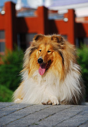 Similar image 316635