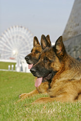 Similar image 316636