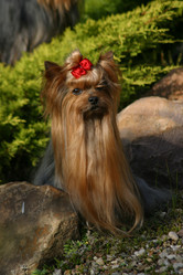 Similar image 316640