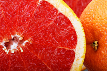 Similar image 316680