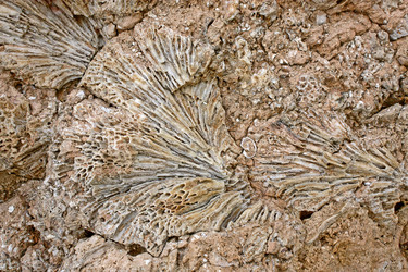 Similar image 316681