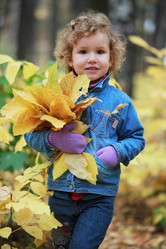 Similar image 316695