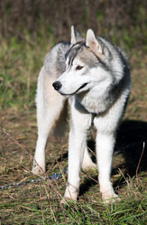 Similar image 316704