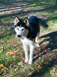 Similar image 316712