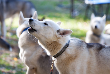 Similar image 316718