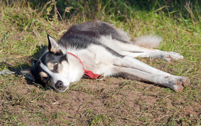 Similar image 316719