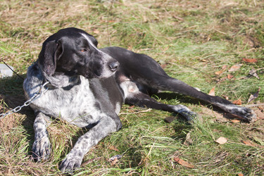 Similar image 316728