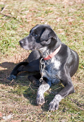 Similar image 316730