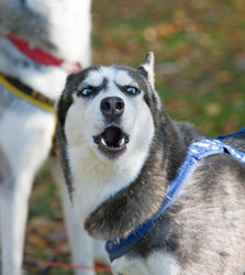 Similar image 316740