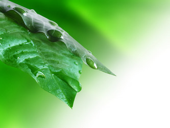 Similar image 316758