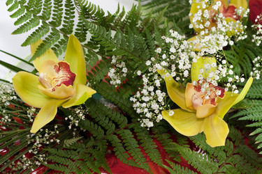 Similar image 316822