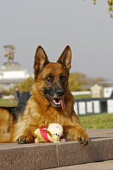 Similar image 316840