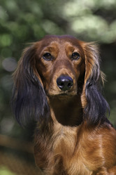 Similar image 316843