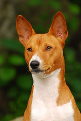 Similar image 316859