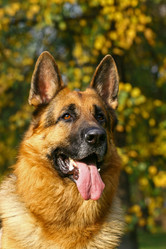 Similar image 316865