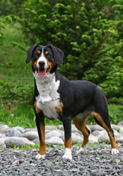 Similar image 316870