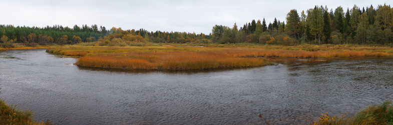 Similar image 316889