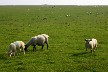 Similar image 316897