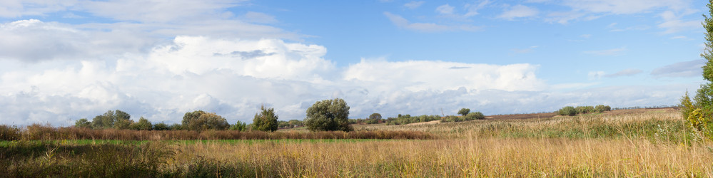 Similar image 316901